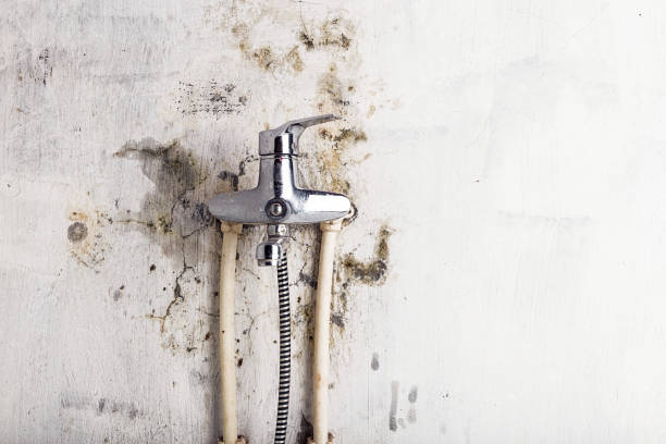 Best Residential Mold Remediation in Monaca, PA
